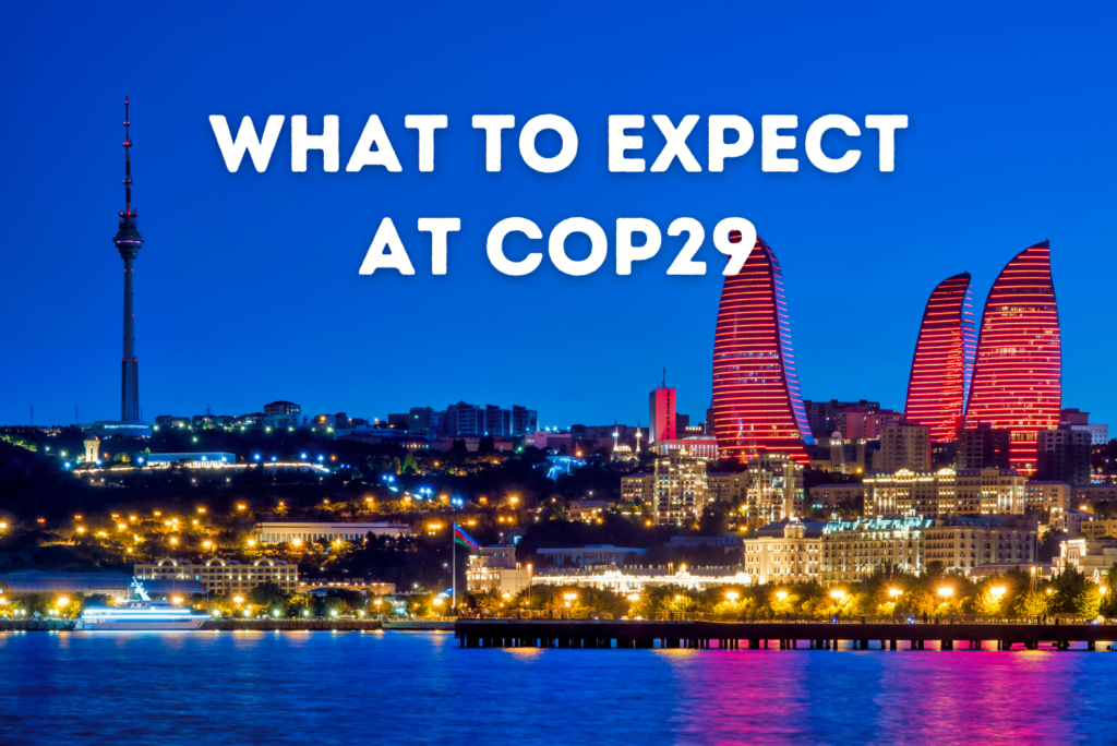 COP29: What to Expect from the Pivotal Climate Summit in Baku, Azerbaijan