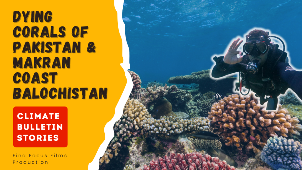 Diving into Conservation: Protecting Pakistan’s Coral Reefs